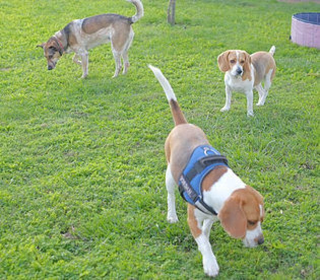 Lexie, Skyla e Jordan